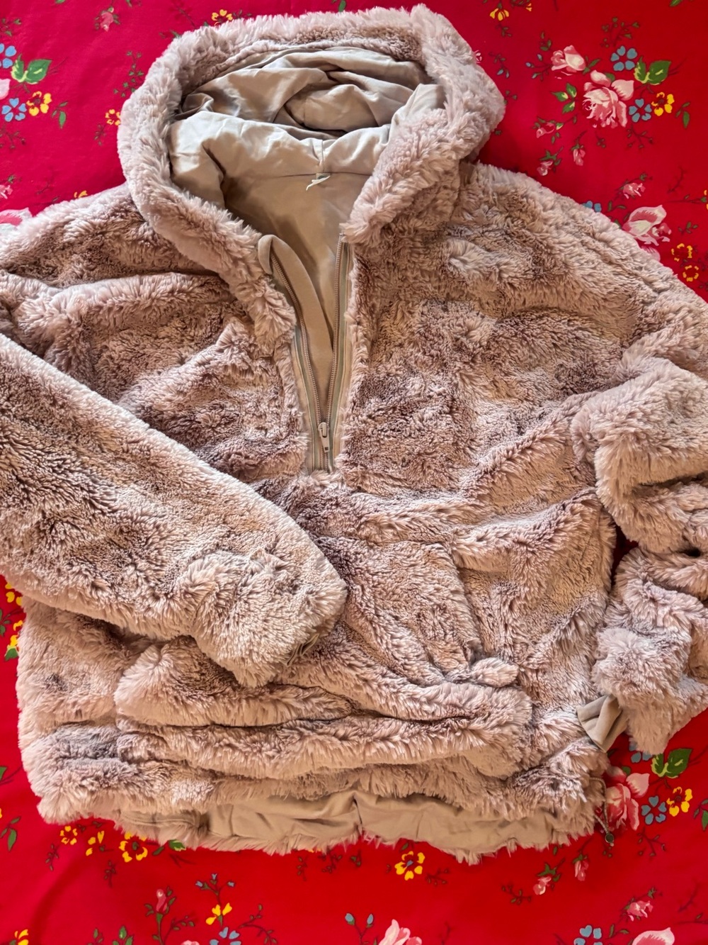 Free People Pullover Hoodie